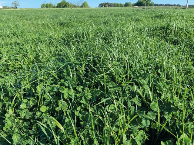 Gamme Herbage