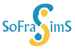 CARLIF / SOFRASIMS : Simulation en santé , tous concernés !