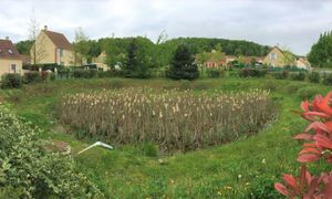 Rénovation de l'habitat : Objectif Confiance ! Comment rassurer et engager les ménages en 2026 ?