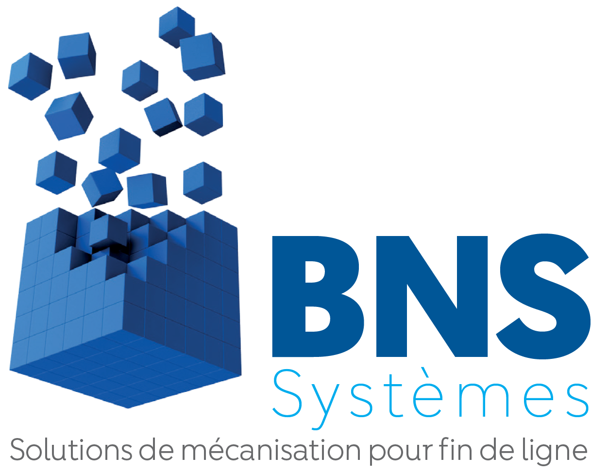 BNS SYSTEMES SAS