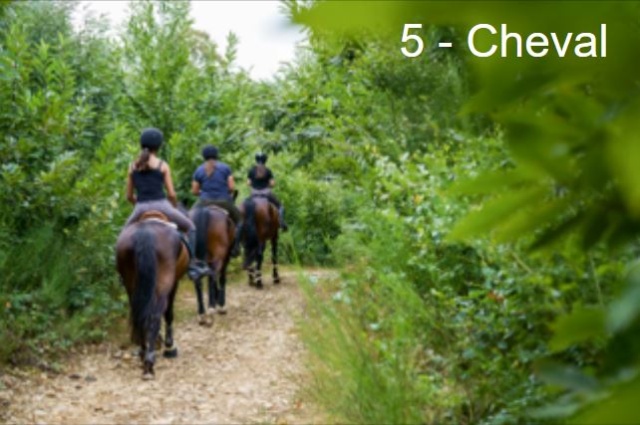 Balade a cheval