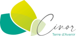 Rapport d'évaluation intermédiaire - PCAET - CINOR - 2022