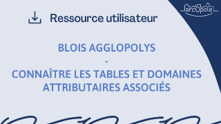 Connaitre les Web Maps, Services, Données et Domaines associés
