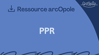 Plan de Prévention des Risques (PPR)