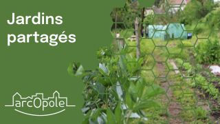 Jardins partagés