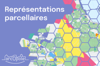 Représentations parcellaires