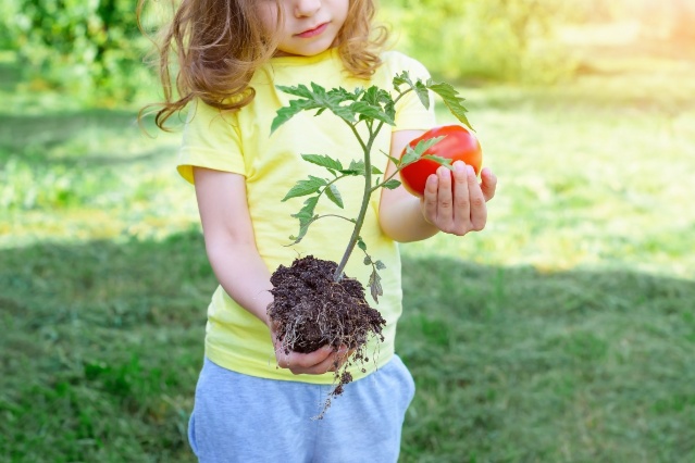 DIY : des idées d’espaces pour les enfants dans le jardin