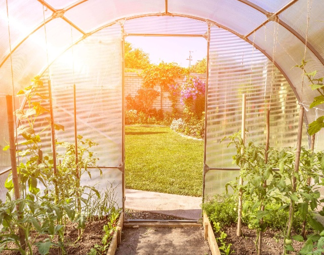 Fabriquer soi-même sa serre de jardin