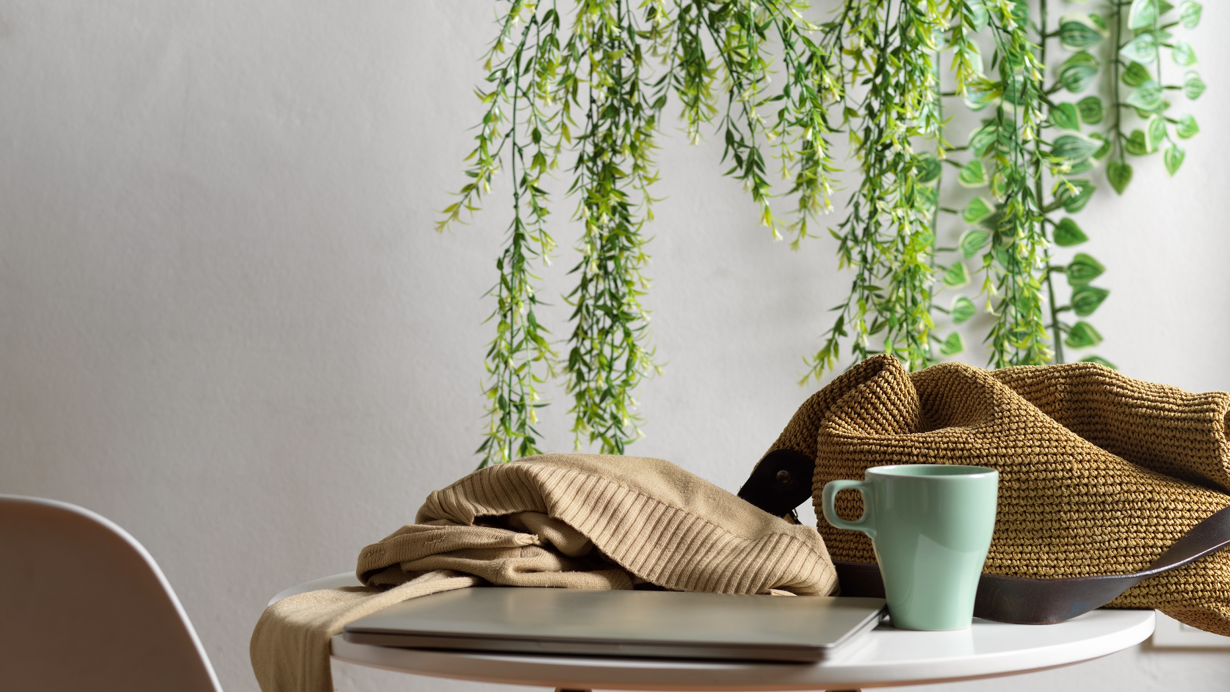 15 plantes dépolluantes pour votre intérieur
