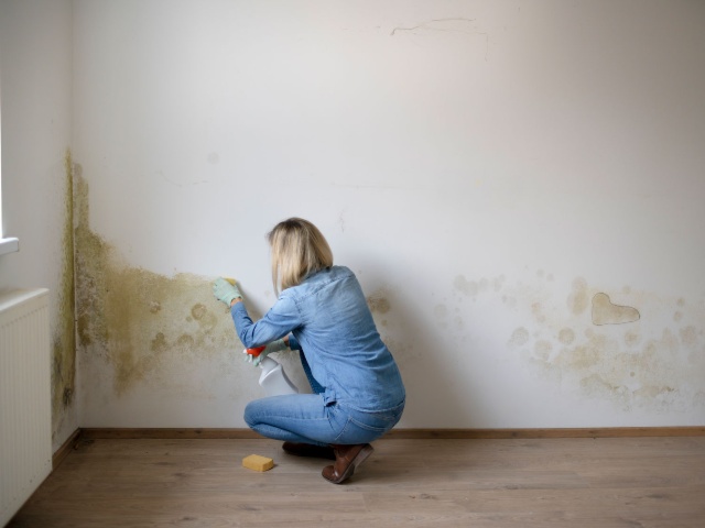 Humidité dans la maison : diagnostiquer la cause avant de traiter (condensation, infiltration, remontées capillaires)