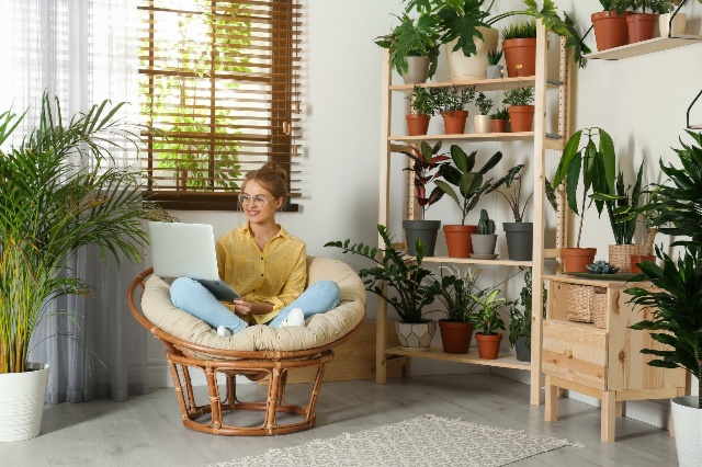 5 idées pour inviter la nature chez soi