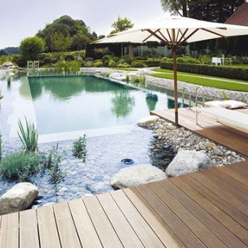 La piscine naturelle en 7 questions