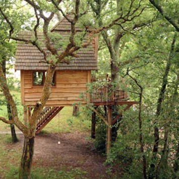 Construire une cabane en bois dans les arbres de son jardin