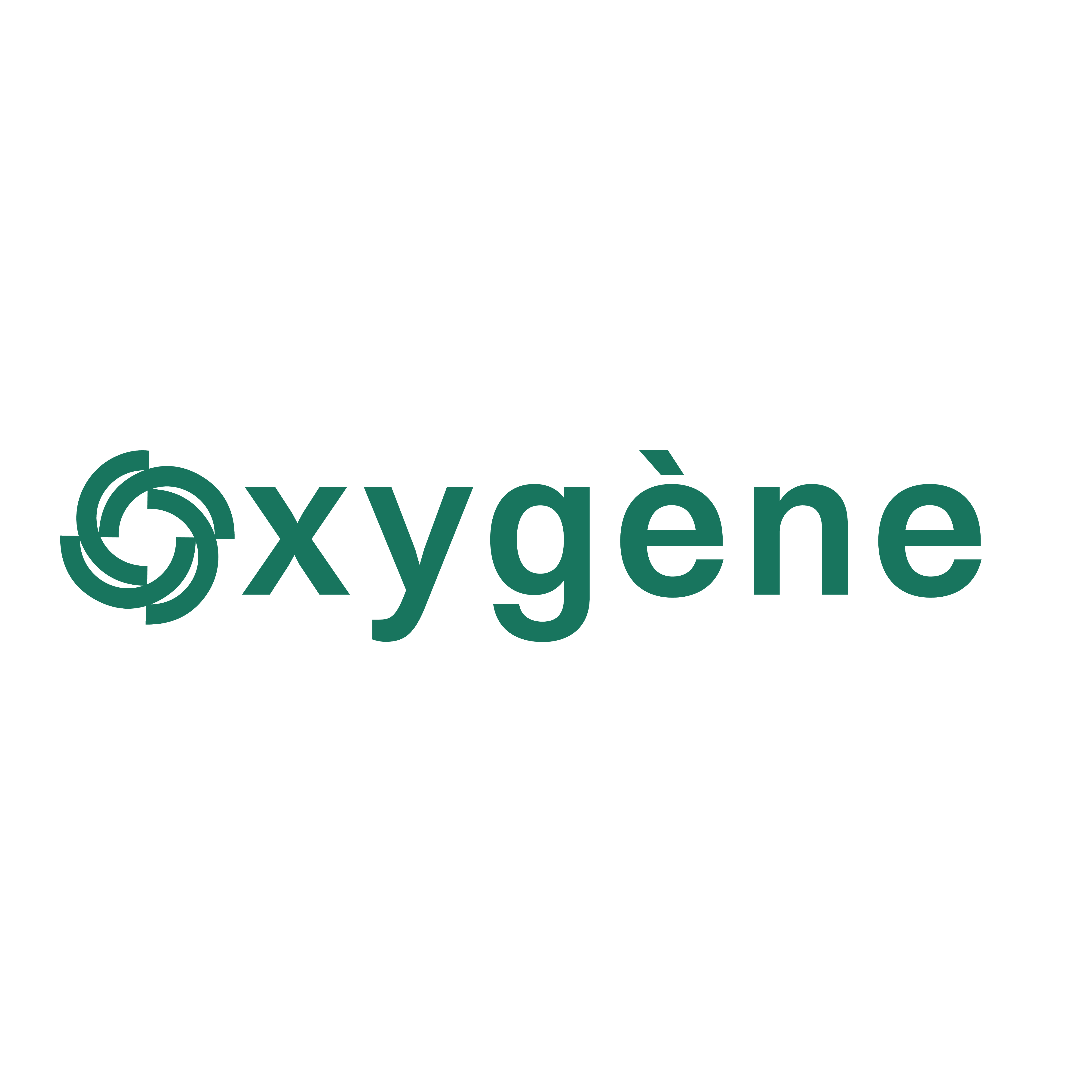 OXYGENE EXPO SAS