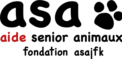 FONDATION ASAjfk