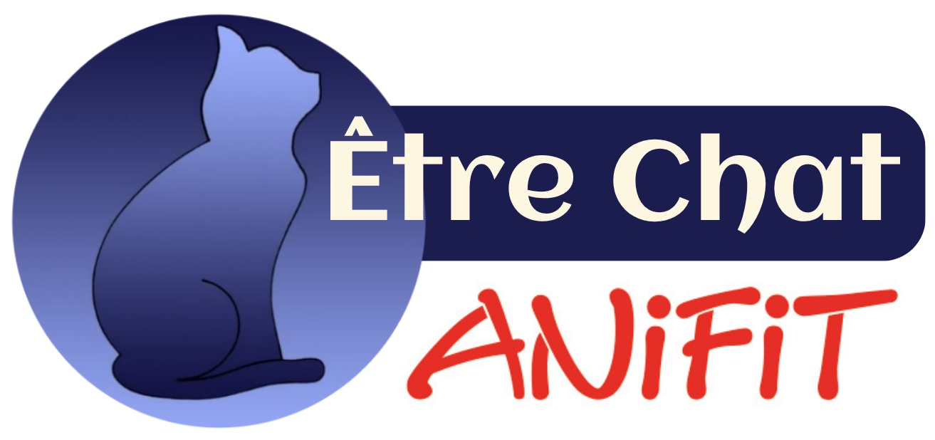 ETRE CHAT - ANIFIT